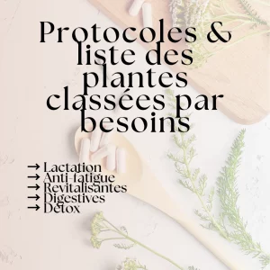 Post-partum : Guide Complet des suppléments – Image 7